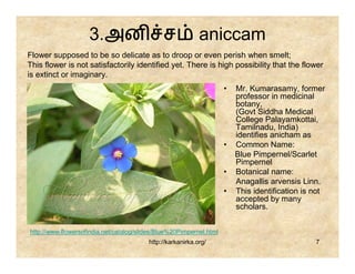 3.அன ச                                  aniccam
Flower supposed to be so delicate as to droop or even perish when smelt;
This flower is not satisfactorily identified yet. There is high possibility that the flower
is extinct or imaginary.
                                                                     •   Mr. Kumarasamy, former
                                                                         professor in medicinal
                                                                         botany,
                                                                         (Govt Siddha Medical
                                                                         College Palayamkottai,
                                                                         Tamilnadu, India)
                                                                         identifies anicham as
                                                                     •   Common Name:
                                                                         Blue Pimpernel/Scarlet
                                                                         Pimpernel
                                                                     •   Botanical name:
                                                                         Anagallis arvensis Linn.
                                                                     •   This identification is not
                                                                         accepted by many
                                                                         scholars.


http://www.flowersofindia.net/catalog/slides/Blue%20Pimpernel.html
                                         http://karkanirka.org/                                 7
 