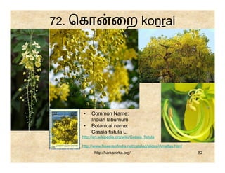 72. ெகா              ைற koṉṟai




     •   Common Name:
         Indian laburnum
     •   Botanical name:
         Cassia fistula L.
    http://en.wikipedia.org/wiki/Cassia_fistula

    http://www.flowersofindia.net/catalog/slides/Amaltas.html
           http://karkanirka.org/                               82
 