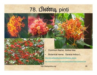 78. ப                          piṇṭi




          •   Common Name: Ašōka tree
          •   Botanical name: Saraca indica L.
          http://en.wikipedia.org/wiki/Saraca_asoca

          http://www.flowersofindia.net/catalog/slides/Sita%20Ashok.html


    http://karkanirka.org/                                            89
 