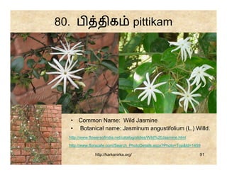 80. ப            திக                     pittikam




  • Common Name: Wild Jasmine
  • Botanical name: Jasminum angustifolium (L.) Willd.
  http://www.flowersofindia.net/catalog/slides/Wild%20Jasmine.html
  http://www.floracafe.com/Search_PhotoDetails.aspx?Photo=Top&Id=1459

                http://karkanirka.org/                               91
 