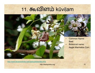 11.                 வள                            kūviḷam




                                                                        •   Common Name:
                                                                            Bael
                                                                        •   Botanical name:
                                                                            Aegle Marmelos Corr.




http://www.flowersofindia.net/catalog/slides/Bel.html
                                            http://karkanirka.org/                        15
 