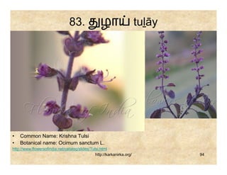 83.               ழா                    tuḻāy




•   Common Name: Krishna Tulsi
•   Botanical name: Ocimum sanctum L.
http://www.flowersofindia.net/catalog/slides/Tulsi.html
                                                http://karkanirka.org/           94
 