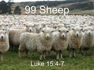99 Sheep
Luke 15:4-7
 
