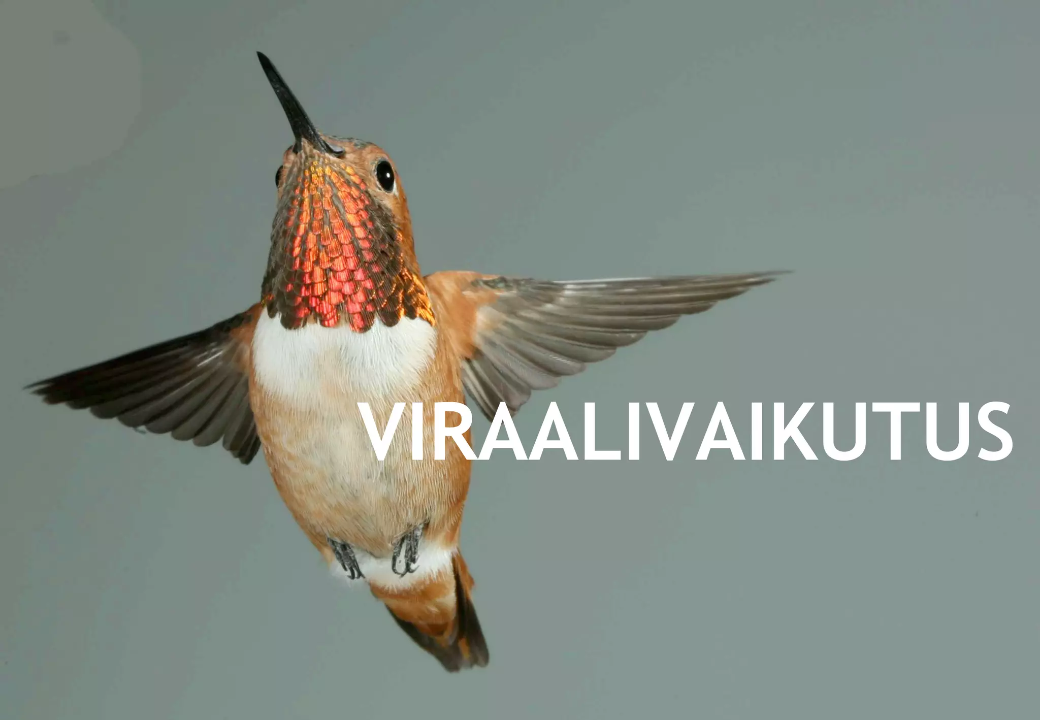 VIRAALIVAIKUTUS
 