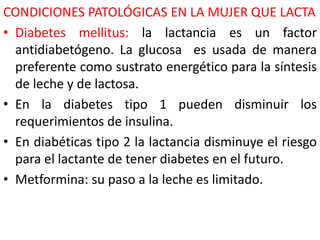 CONDICIONES PATOLÓGICAS EN LA MUJER QUE LACTA 
• Diabetes mellitus: la lactancia es un factor 
antidiabetógeno. La glucosa es usada de manera 
preferente como sustrato energético para la síntesis 
de leche y de lactosa. 
• En la diabetes tipo 1 pueden disminuir los 
requerimientos de insulina. 
• En diabéticas tipo 2 la lactancia disminuye el riesgo 
para el lactante de tener diabetes en el futuro. 
• Metformina: su paso a la leche es limitado. 
 