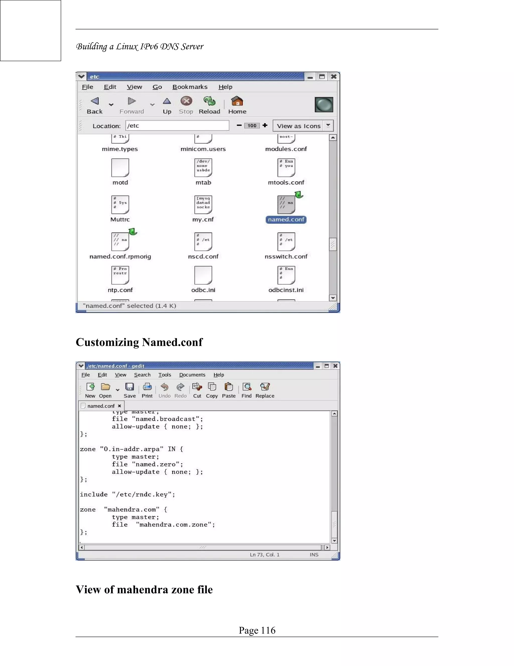 Screen Shots of Building IPv6 DNS Server (Screen shots)
