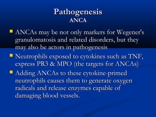 Pathogenesis
                       ANCA
   ANCAs may be not only markers for Wegener's
    granulomatosis and related disorders, but they
    may also be actors in pathogenesis
   Neutrophils exposed to cytokines such as TNF,
    express PR3 & MPO (the targets for ANCAs)
   Adding ANCAs to these cytokine-primed
    neutrophils causes them to generate oxygen
    radicals and release enzymes capable of
    damaging blood vessels.
 