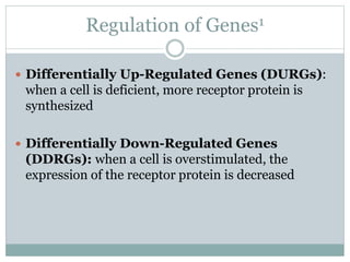 Regulation of Genes1
 Differentially Up-Regulated Genes (DURGs):
when a cell is deficient, more receptor protein is
synthesized
 Differentially Down-Regulated Genes
(DDRGs): when a cell is overstimulated, the
expression of the receptor protein is decreased
 