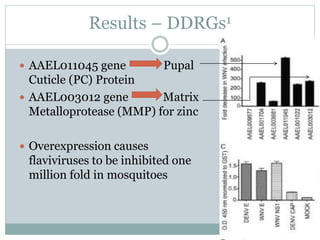 Results – DDRGs1
 AAEL011045 gene Pupal
Cuticle (PC) Protein
 AAEL003012 gene Matrix
Metalloprotease (MMP) for zinc
 Overexpression causes
flaviviruses to be inhibited one
million fold in mosquitoes
 