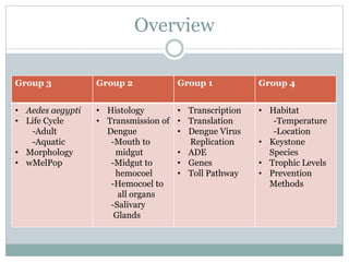 Overview
Group 3 Group 2 Group 1 Group 4
• Aedes aegypti
• Life Cycle
-Adult
-Aquatic
• Morphology
• wMelPop
• Histology
• Transmission of
Dengue
-Mouth to
midgut
-Midgut to
hemocoel
-Hemocoel to
all organs
-Salivary
Glands
• Transcription
• Translation
• Dengue Virus
Replication
• ADE
• Genes
• Toll Pathway
• Habitat
-Temperature
-Location
• Keystone
Species
• Trophic Levels
• Prevention
Methods
 