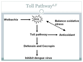 Toll Pathway6,F
 