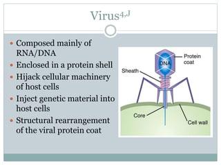 Virus4,J
 Composed mainly of
RNA/DNA
 Enclosed in a protein shell
 Hijack cellular machinery
of host cells
 Inject genetic material into
host cells
 Structural rearrangement
of the viral protein coat
 