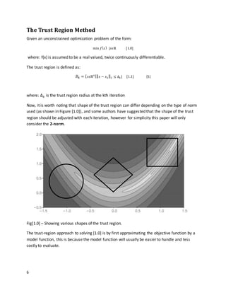 Trust Region Algorithm - Bachelor Dissertation | DOCX