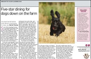 brought to you by laughing dog
For more details, call
0800 098 8057 or visit
laughingdogfood.com
Five-star dining for
dogs down on the farm
A bumper harvest led the
Grant family to start baking
for dogs, says Rachel Tierney
wi n a y e a r ’ s
d o g fo o d
You could win a year’s
supply of Laughing
Dog’s baked dry
completes, including
a “Dog Happy” hamper
with Wonderfully Wheat
Free Baked Joint Care
Oaties, Dental Oaties,
Cheesy Oaties and
Gloriously Grain Free
Baked White Fish Treats;
a tray of Gloriously Grain
Free Chicken Casserole,
Duck Casserole and
Lamb Hotpot.
To enter and for T&Cs,
visittgr.ph/laughingdog
Readers receive 20 per
cent off their first order.
Enter code Baking1936
at checkout or quote on
the phone. Free next-
day delivery available.
S
ince 1936, Laughing Dog has
been making dogs happy with
wholesome, delicious food
that the Grant family now grow and
bake on their Lincolnshire farm.
Three generations ago, farmer
and entrepreneur Ted Grant OBE
decided to try baking dog biscuits
to make the most of an abundant
harvest. A tail-wagging hit, they
have been baked with love ever
since to become a firm four-legged
favourite stocked in UK shops.
Ted Grant’s granddaughter Taisie
Grant, who is part of the company’s
marketing team, says: “Grandpa
was a huge philanthropist. He was
always looking for ways to diversify
and provide more jobs for those
living in the local area. He started
growing flowers in the winter,
moved on to grass drying and
then started the bakery.”
Today, the family still love dogs –
they have four “mad” collies – and
embrace Ted’s values of caring for
the local community and looking
after the environment. The family
farm now has a solar farm, and
wildflower borders surround the
fields to provide a haven for birds,
bees and wildlife. This love for
natural processes and ingredients
comes through in how Laughing
Dog is created. “It is unique as we
slowly oven-bake our entire range
of dry completes, treats and mixer
meals, using where possible many
ingredients we grow ourselves,”
says Taisie. “Our hypoallergenic
range has Gloriously Grain Free
and Wonderfully Wheat Free
offerings – perfect for dogs with
sensitive tummies but, because it’s
oven-baked, loved by all dogs.
“By slowly oven-baking our
biscuits the food takes longer to
make than other methods. But
baking better protects the goodness
in each kibble and is known to be
gentler on a dog’s digestion.”
Baking creates wobbly edges,
which means dogs have to chew
their food properly, and that is
great for helping to keep teeth
clean and breath fresh. “It’s crispier
and crunchier – a whole different
feel to other dog foods,” says Taisie.
“But it’s not just about feeding
dogs. It’s about nourishing them
– a healthy dog is a happy dog and
we all want our dogs to be happy.”
Good-quality, nutritious food is just
part of caring for your devoted
canine friend. As Taisie says: “Dogs
need moments of unrestrained joy,
whether frolicking in water or
running around on the beach. They
love to be groomed, exercised and
cherished just as humans do.”
To celebrate 80 years of
Laughing Dog’s commitment to
making dogs happy, in the coming
weeks it will honour dogs by
looking at those that have played
important roles in history. It will
also share expert tips on making
your dog feel happy and healthy.
Focusing on the next eight
decades for the company, Taisie
says: “We want to continue
spreading our mission to make
dogs 100 per cent dog happy.”
Feeding them delicious,
nourishing food is a great start.
 