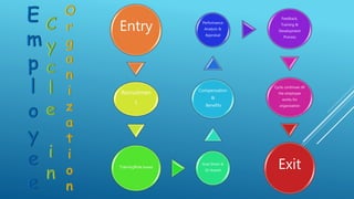 Entry
Recruitmen
t
TrainingRole based
Goal Sheet &
JD shared
Compensation
&
Benefits
Performance
Analysis &
Appraisal
Feedback,
Training &
Development
Process
Cycle continues till
the employee
works for
organization
Exit
 