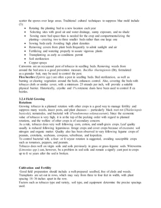scatter the spores over large areas. Traditional cultural techniques to suppress blue mold include
(3):
 Rotating the planting bed to a new location each year
 Selecting sites with good air and water drainage, sunny exposure, and no shade
 Sowing more bed space than is needed for the crop and compartmentalizing the
planting—creating two to three smaller beds rather than one large one
 Sowing beds early Avoiding high plant densities
 Removing covers from plant beds frequently to admit sunlight and air
 Fertilizing and watering properly to assure vigorous plants
 Transplanting as early as conditions permit
 Soil sterilization
 Copper sprays
Cutworms are an occasional pest of tobacco in seedling beds. Removing weeds from
around the bed area is a good prevention measure. Bacillus thuringiensis (Bt), formulated
as a granular bait, may be used to control the pest.
Flea beetles (Epitrix spp.) are often a pest in seedling beds. Bed sterilization, as well as
burning or clearing vegetation around the beds, enhances control. Also, covering the beds with
tobacco cloth or similar cover, with a minimum 25 strands per inch, will provide a suitable
physical barrier. Historically, cryolite and 1% rotenone dusts have been used to control fl ea
beetles.
3.2.4 Field Growing
Rotations
Growing tobacco in a planned rotation with other crops is a good way to manage fertility and
suppress many weeds, insect pests, and plant diseases— particularly black root rot (Thielaviopsis
basicola), nematodes, and bacterial wilt (Pseudomonas solanacearum). Since the economic
value of tobacco is very high, it is at the top of the pecking order with regard to planned
rotations, and the welfare of other crops is of secondary concern.
As a rule, tobacco does very well following corn, cotton, and small-grain crops. Leaf quality
usually is reduced following leguminous forage crops and cover crops because of excessive soil
nitrogen and organic matter. Quality also has been observed to vary following legume crops of
peanuts, crotolaria, soybeans, cowpeas, velvetbean, and lespedeza.
To control bacterial wilt, a four- or fi veyear rotation is suggested, avoiding susceptible crops
such as tomatoes, peppers, and peanuts.
Tobacco does well on virgin soils and soils previously in grass or grass-legume sods. Wireworms
(Limonius spp.) can, however, be a problem in sod soils and remain a signify cant pest to crops
up to fi ve years after the sod is broken.
Cultivation and Fertility
Good field preparation should include a well-prepared seedbed, free of clods and weeds.
Transplants are set out in rows, which may vary from three to four feet in width, with plant
spacing 18–36 inches apart in the row.
Factors such as tobacco type and variety, soil type, and equipment determine the precise spacings
used.
 