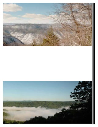 portfolio2016_8hX11_small