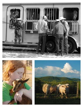 portfolio2016_8hX11_small