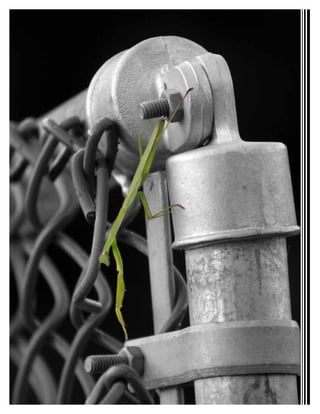 portfolio2016_8hX11_small