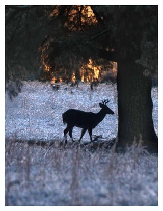 portfolio2016_8hX11_small