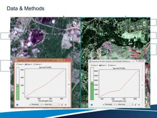 Data & Methods
Data collection
Pre-processing
Training Validation
SPOT 6 Landsat 8 GPS presence
Uncertainty Reject
Alternative
Aerial Photos
Digitisation
Visual
interpretation
GE
Confusion
Matrix
SVM
classification
FLAASH-
MODTRAN4
 