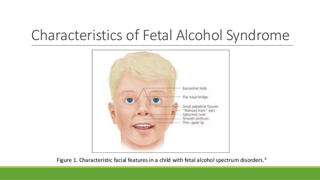 BCHS Final Presentation