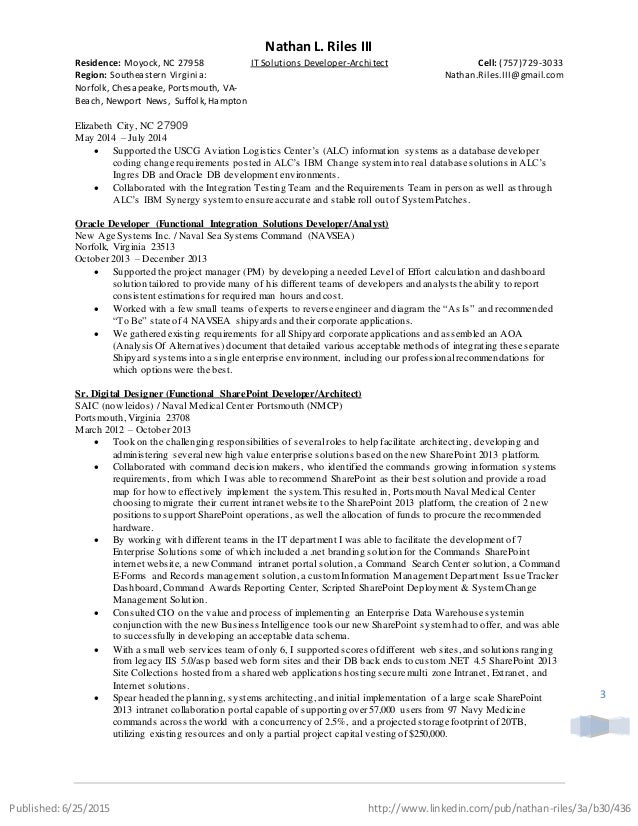 resume it solutions developer architect