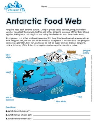 sw_antarctic_food_web_w3 | PDF