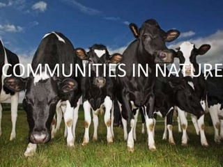 COMMUNITIES IN NATURE
 