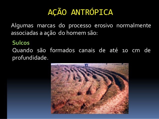 Ação Antrópica O Que É – Impactos antrópicos na natureza – LJNN