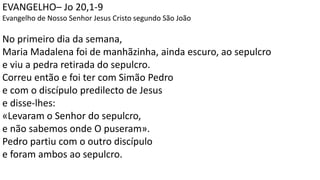 EVANGELHO– Jo 20,1-9
Evangelho de Nosso Senhor Jesus Cristo segundo São João
No primeiro dia da semana,
Maria Madalena foi de manhãzinha, ainda escuro, ao sepulcro
e viu a pedra retirada do sepulcro.
Correu então e foi ter com Simão Pedro
e com o discípulo predilecto de Jesus
e disse-lhes:
«Levaram o Senhor do sepulcro,
e não sabemos onde O puseram».
Pedro partiu com o outro discípulo
e foram ambos ao sepulcro.
 