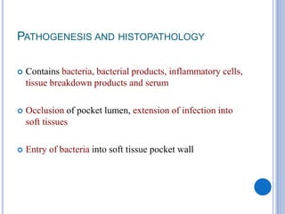 PATHOGENESIS AND HISTOPATHOLOGY
 Contains bacteria, bacterial products, inflammatory cells,
tissue breakdown products and serum
 Occlusion of pocket lumen, extension of infection into
soft tissues
 Entry of bacteria into soft tissue pocket wall
 
