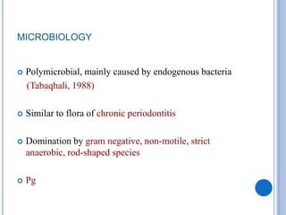 MICROBIOLOGY
 Polymicrobial, mainly caused by endogenous bacteria
(Tabaqhali, 1988)
 Similar to flora of chronic periodontitis
 Domination by gram negative, non-motile, strict
anaerobic, rod-shaped species
 Pg
 