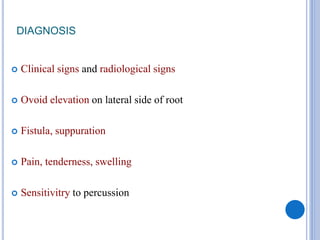 DIAGNOSIS
 Clinical signs and radiological signs
 Ovoid elevation on lateral side of root
 Fistula, suppuration
 Pain, tenderness, swelling
 Sensitivitry to percussion
 