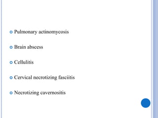  Pulmonary actinomycosis
 Brain abscess
 Cellulitis
 Cervical necrotizing fasciitis
 Necrotizing cavernositis
 