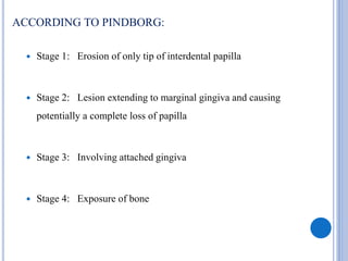 ACCORDING TO PINDBORG:
 Stage 1: Erosion of only tip of interdental papilla
 Stage 2: Lesion extending to marginal gingiva and causing
potentially a complete loss of papilla
 Stage 3: Involving attached gingiva
 Stage 4: Exposure of bone
 