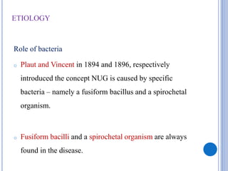 ETIOLOGY
Role of bacteria
o Plaut and Vincent in 1894 and 1896, respectively
introduced the concept NUG is caused by specific
bacteria – namely a fusiform bacillus and a spirochetal
organism.
o Fusiform bacilli and a spirochetal organism are always
found in the disease.
 