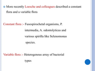  More recently Loesche and colleagues described a constant
flora and a variable flora
Constant flora :- Fusospirochetal organisms, P.
intermedia, A. odontolyticus and
various spirilla like Selenomonas
species.
Variable flora :- Heterogenous array of bacterial
types
 