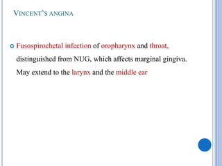VINCENT’S ANGINA
 Fusospirochetal infection of oropharynx and throat,
distinguished from NUG, which affects marginal gingiva.
May extend to the larynx and the middle ear
 