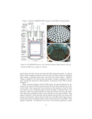Figure 1: Sketch of XENON TPC chamber with PMTs (Goetzke 2015)
placed above the LXe volume and inside the GXe facing downwards. A uniform
electric ﬁeld is applied vertically across the LXe and GXe volumes by applying
high voltage to parallel grids above and below the liquid surface. Negative
voltage is applied to the bottom grid and positive voltage is applied to the top
grid, causing free electrons to drift upwards. A schematic of the TPC is shown
in Figure 1
When a particle interacts with the LXe atoms, the ejected photons are de-
tected by the bottom PMTs and the ejected electrons drift upwards due to the
electric ﬁeld. One reason that Xe was chosen as the medium is that Xe does
not absorb its own scintillation light because the light is produced from a Xe
molecule, which was created during the chemical reaction, and not a Xe atom.
This allows the scintillation light to pass through to the bottom PMTs. This
signal is called S1. Some electrons will recombine with the LXe, but others will
escape recombination. These electrons drift up to the GXe where they interact
and produce more scintillation light, which is detected by the top PMTs. This
signal is called S2. A schematic of an event in the NeriX experiment, which
3
 