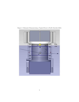 Figure 2: Schematic Demonstrating a Typical Event in NeriX (Goetzke 2015)
5
 