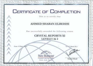 Crystal Reports V10