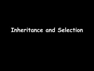 23/09/15
Inheritance and SelectionInheritance and Selection
 