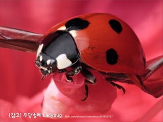 :893;(.34+5164/47536(4+2/9375'=?>-="?<?
 