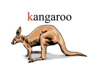 kangaroo
