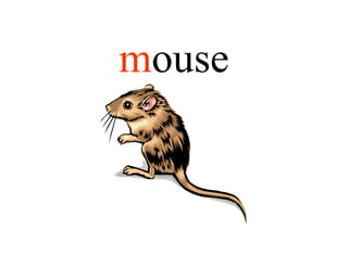 mouse