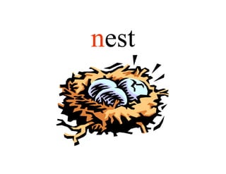 nest