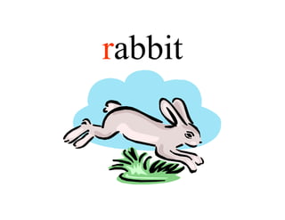 rabbit