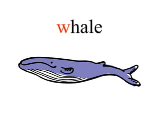whale
