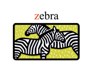zebra